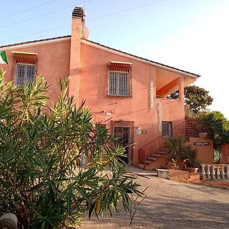 Villa Poggio Agli Ulivi Frascati Exterior foto