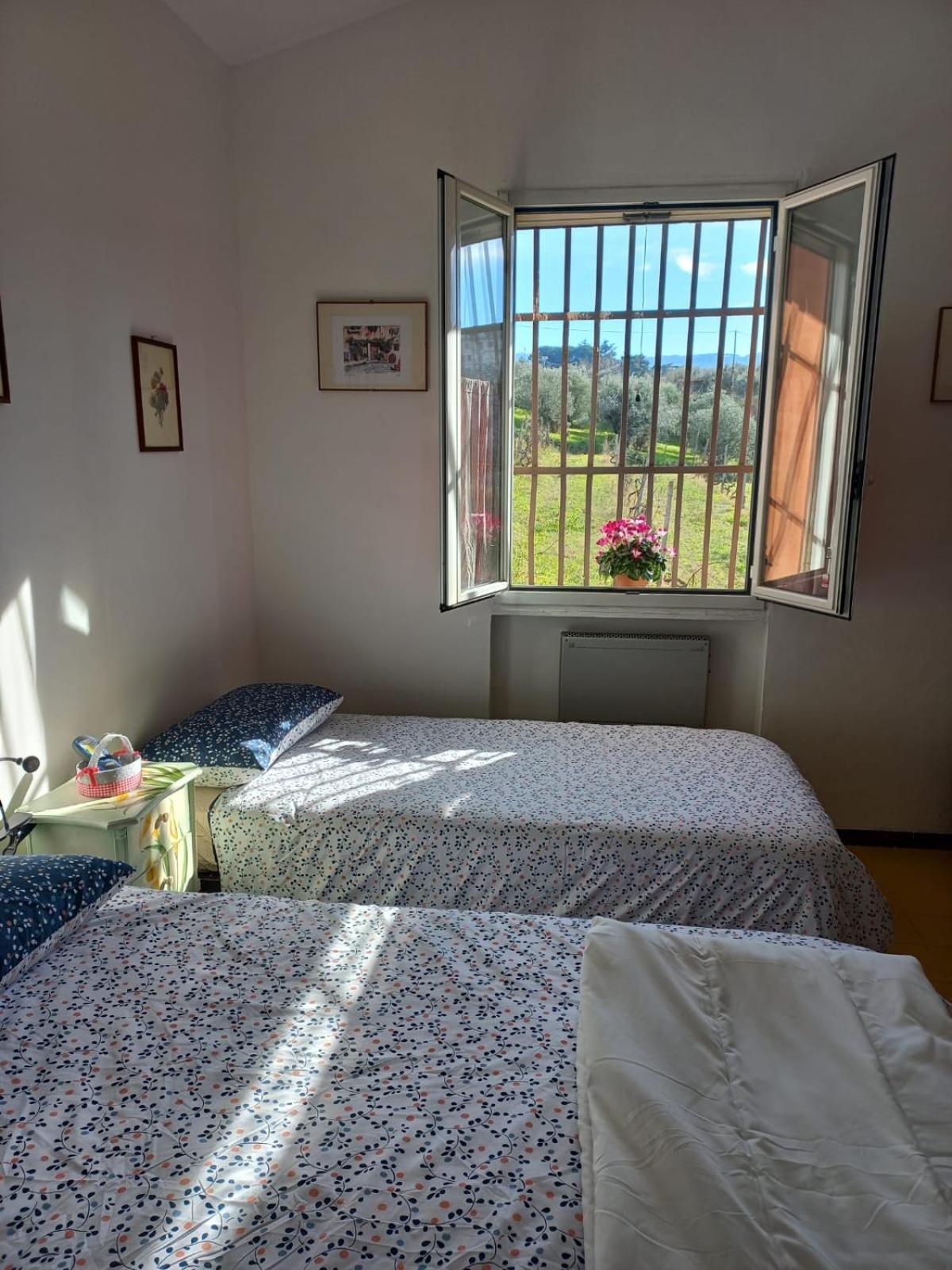 Villa Poggio Agli Ulivi Frascati Zimmer foto